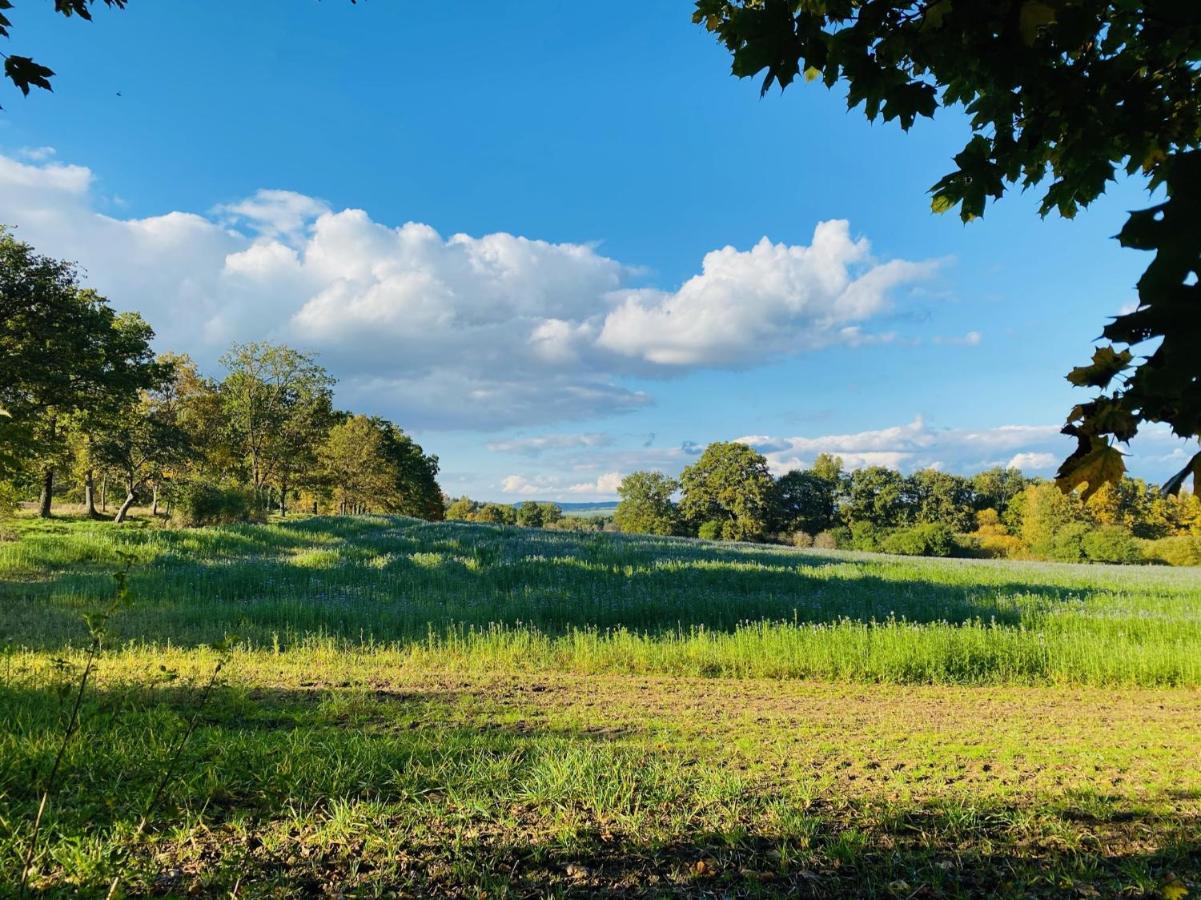 Boutique Byt Ceske Budejovice Dış mekan fotoğraf